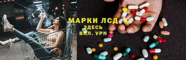 стаф Богданович